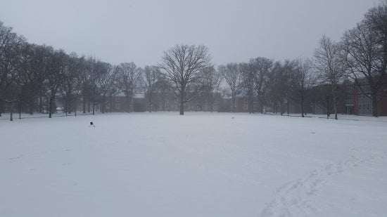 An empty snow filled north quad 