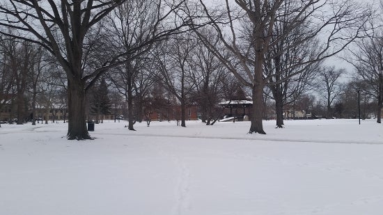 A snowy Tappan square 