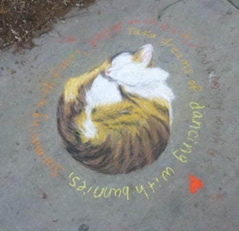 Chalk drawing of a cat