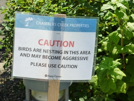 Caution sign regarding nesting birds