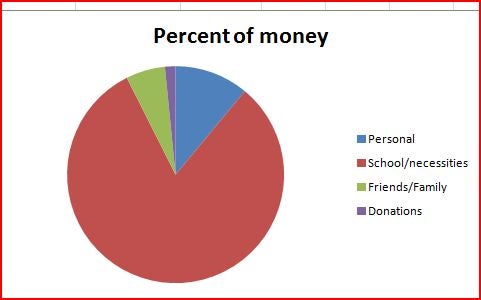Pie chart using the percentages from the previous image. The school & necessities slice dominates the pie.