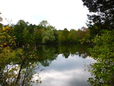 A pond in the woods.