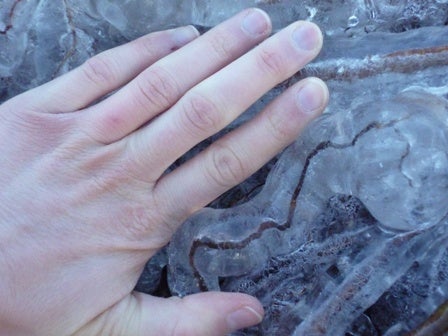 Tendril of ice the size of a palm