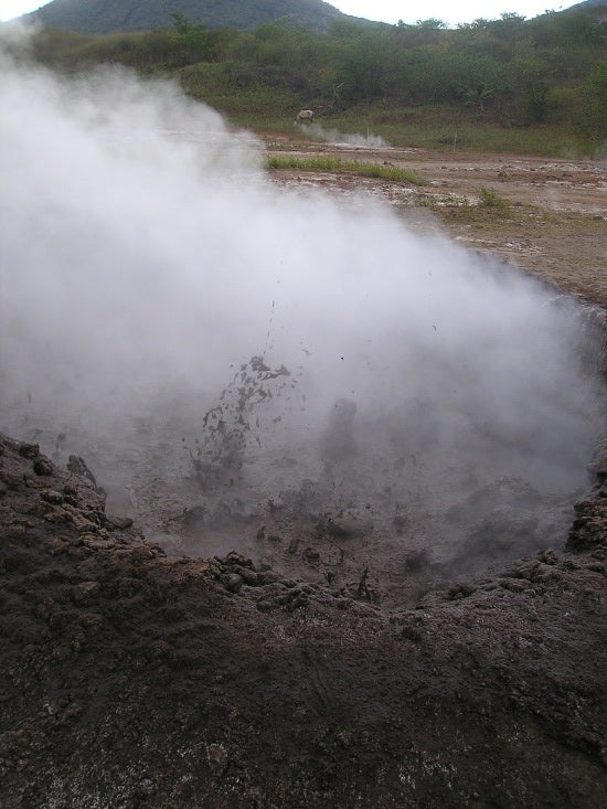 Steam rising from a hole in the ground