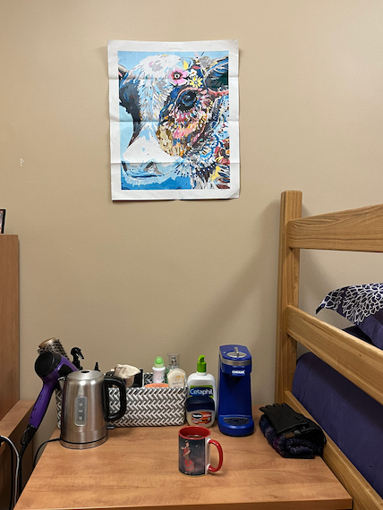 Cow painting in dorm 