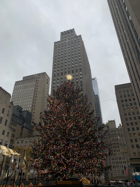 a huge Christmas tree stands in between skyscrapers.