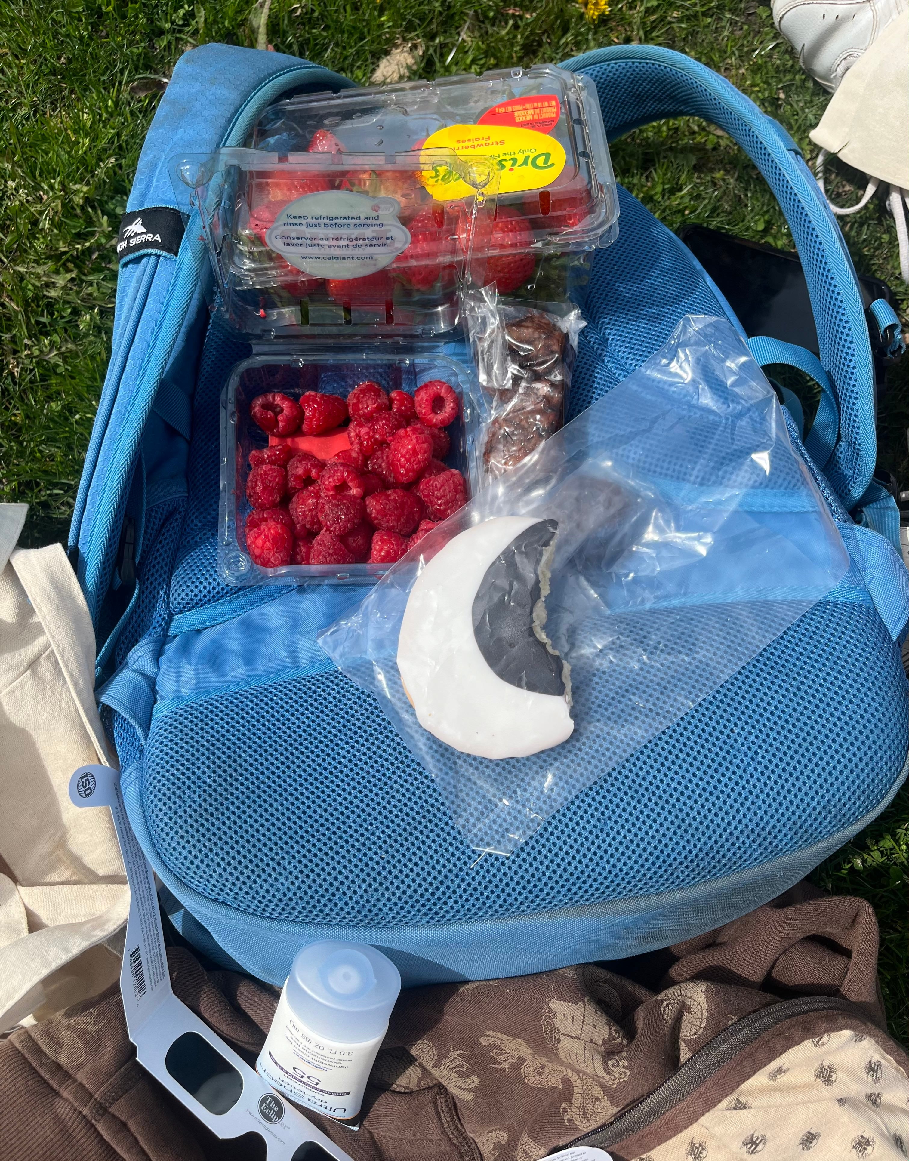 A container of strawberries and raspberries and an "eclipse" themed cookie on top of a blue backpack in the grass at Wilder Bowl.