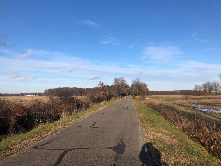 A picture of a clear blue sky along the bike path.