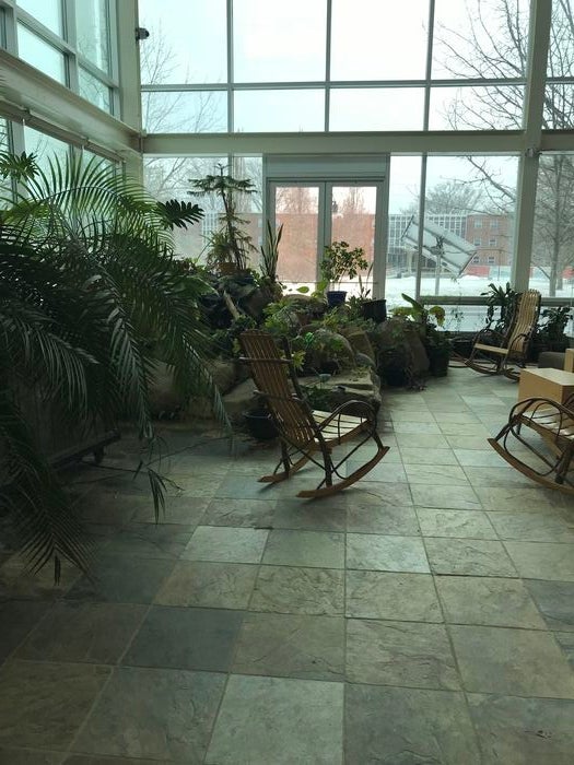 A rocking chair, an indoor waterfall and plants