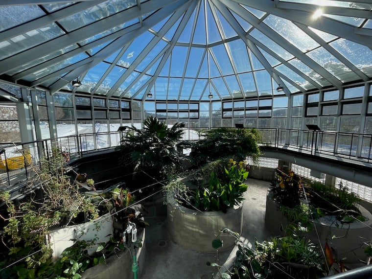 A living machine in Guilford Vermont