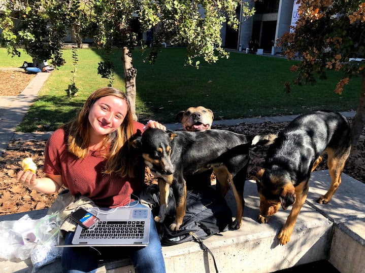 three dogs pose with a student holding her laptop