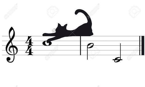 black cat on a music score