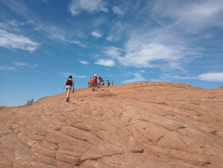 Studnets performing field research in the desert