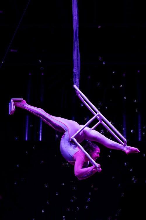 Aerialist in a purple leotard hanging upside down on an Aerial Chair, balancing a book on one foot.