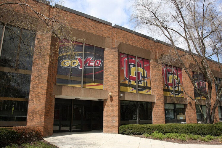 Festi-Ball flyer. October 11 from 1-5 pm. Open-house style, interdisciplinary event combining basketball, music, and dance 