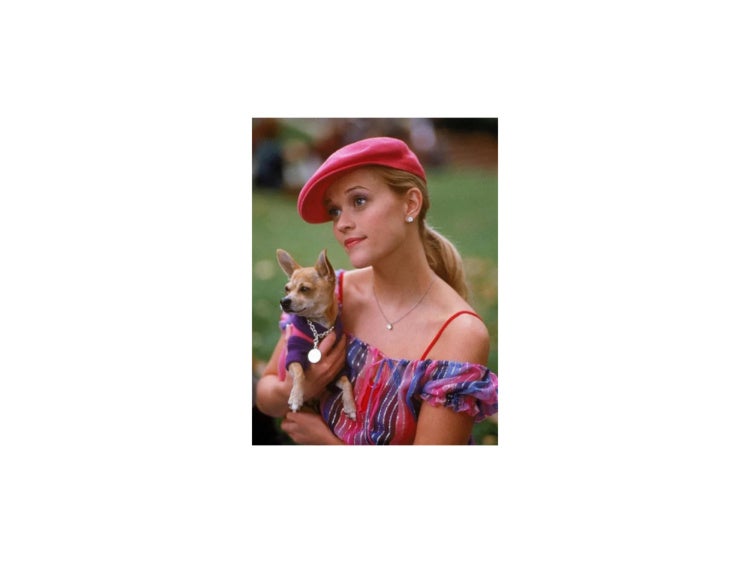 Elle Woods holding dog