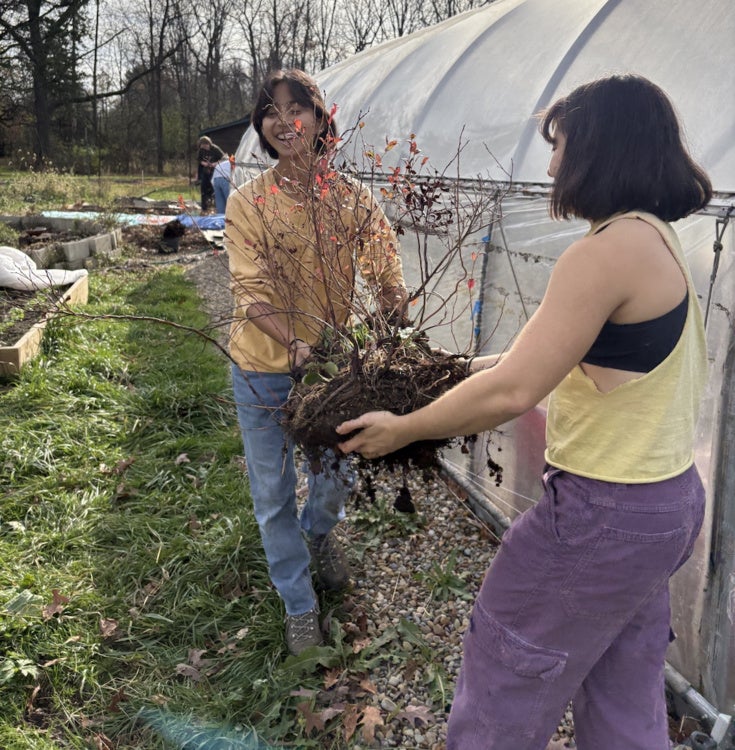 Two students planting