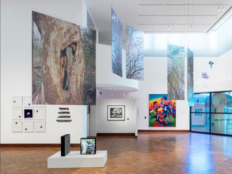 An exhibition feature three hanging panels of printed photography in a large open gallery. All feature images of nature, specifically trees and water.