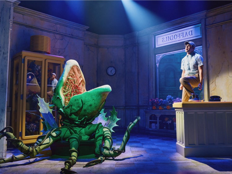 Image of a production of the musical Little Shop of Horrors, depicting a flower shop interior with a young man and a large flytrap-like plant both singing a musical number.