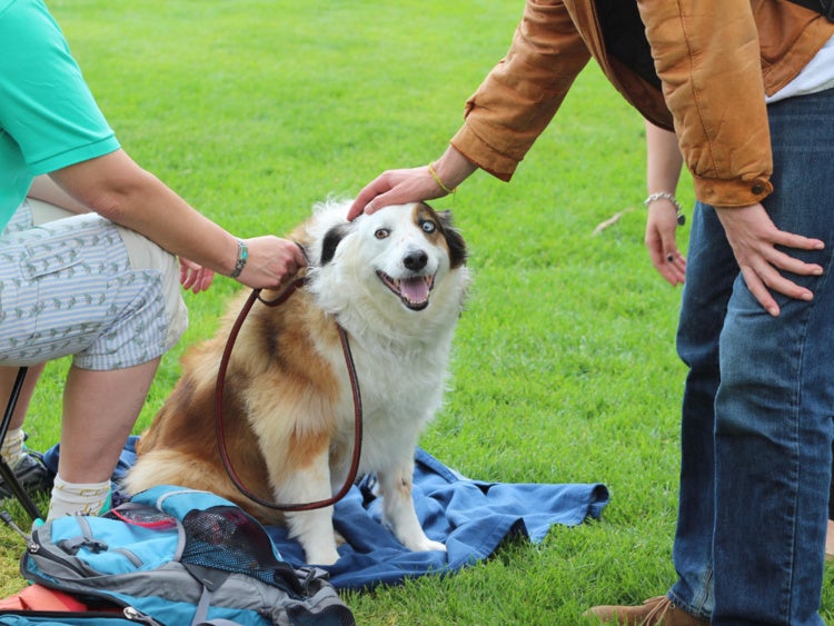 Students petting therapy dog