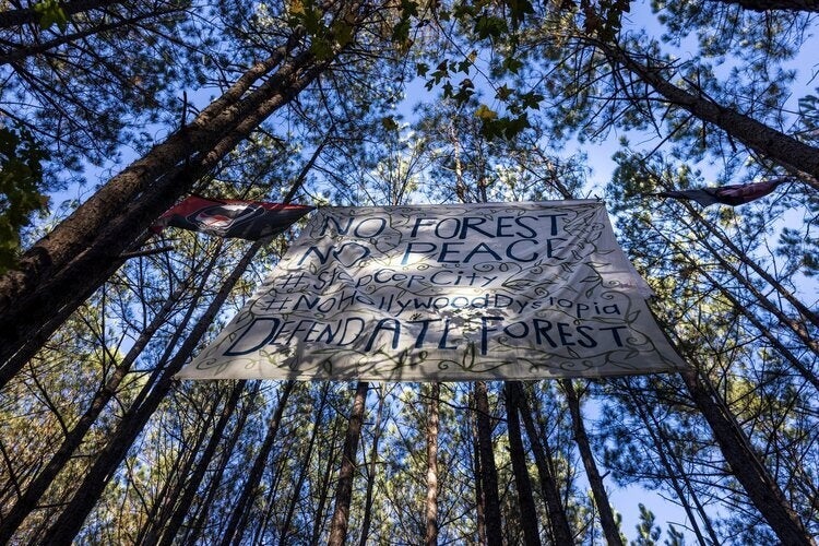 A banner hanging from trees, that reads "no forest no peace #stopcopcity #noHollywoodForest Defend ATL Forest" in blue painted letters, with green leaves and vines painted around the words. 