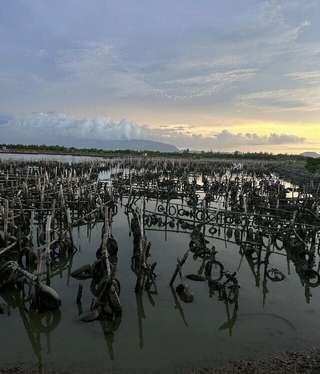 Image depicts Shansi House, a three-story white and gray house along East College Street, across from the Slow Train Cafe.