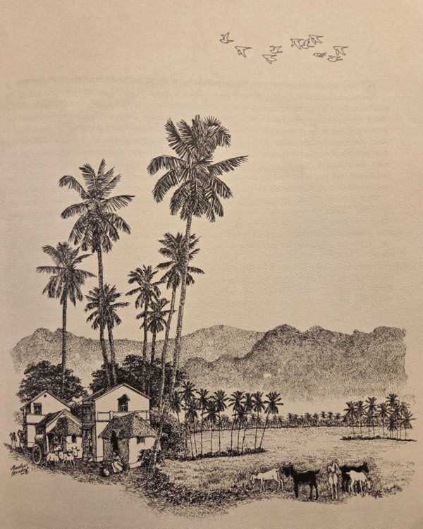 Drawing of the Tamil Nadu Countryside by Manohar Devadoss