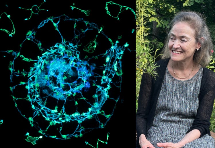 Split screen image of From the Sea to the Stars by Sarah Brayer, from the Luminosity series, 2019, poured mulberry paperwork with phosphorescent, or glow-in-the-dark, pigment and gold leaf detailing (left), and photograph of Sarah Brayer (right).