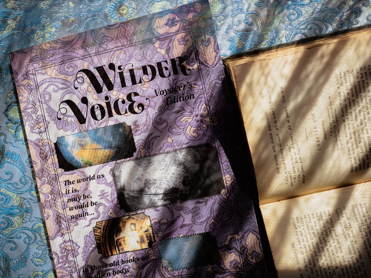 Books laid out in sunlight
