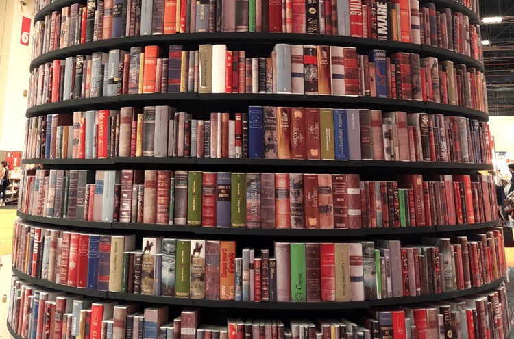 library bookshelf full of books