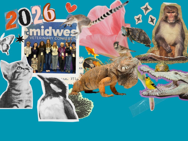 a scrapbook themed image with lots of animal stickers showing the club at the 2026 Midwest Veterinary Conference