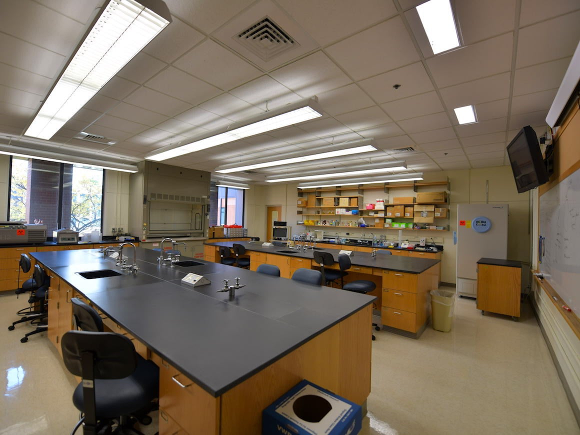 Described in the caption