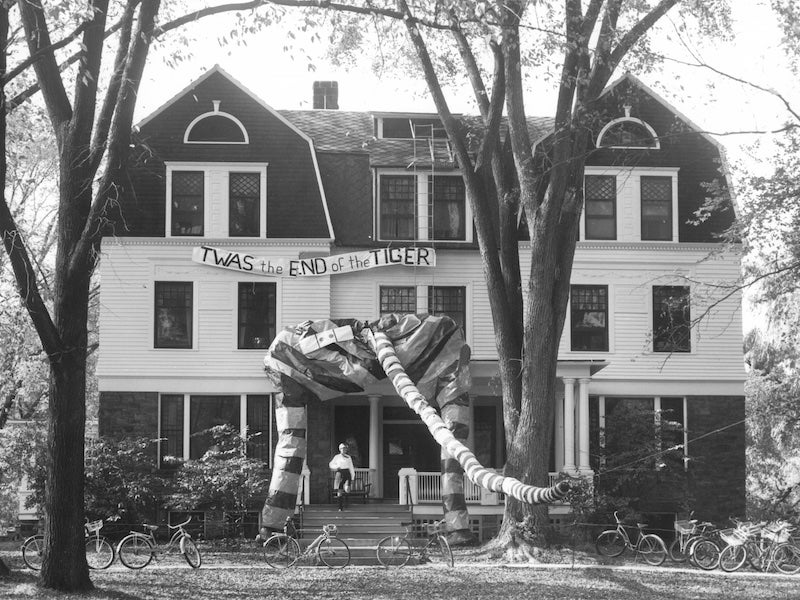 Lord Cottage decorations from 1954.