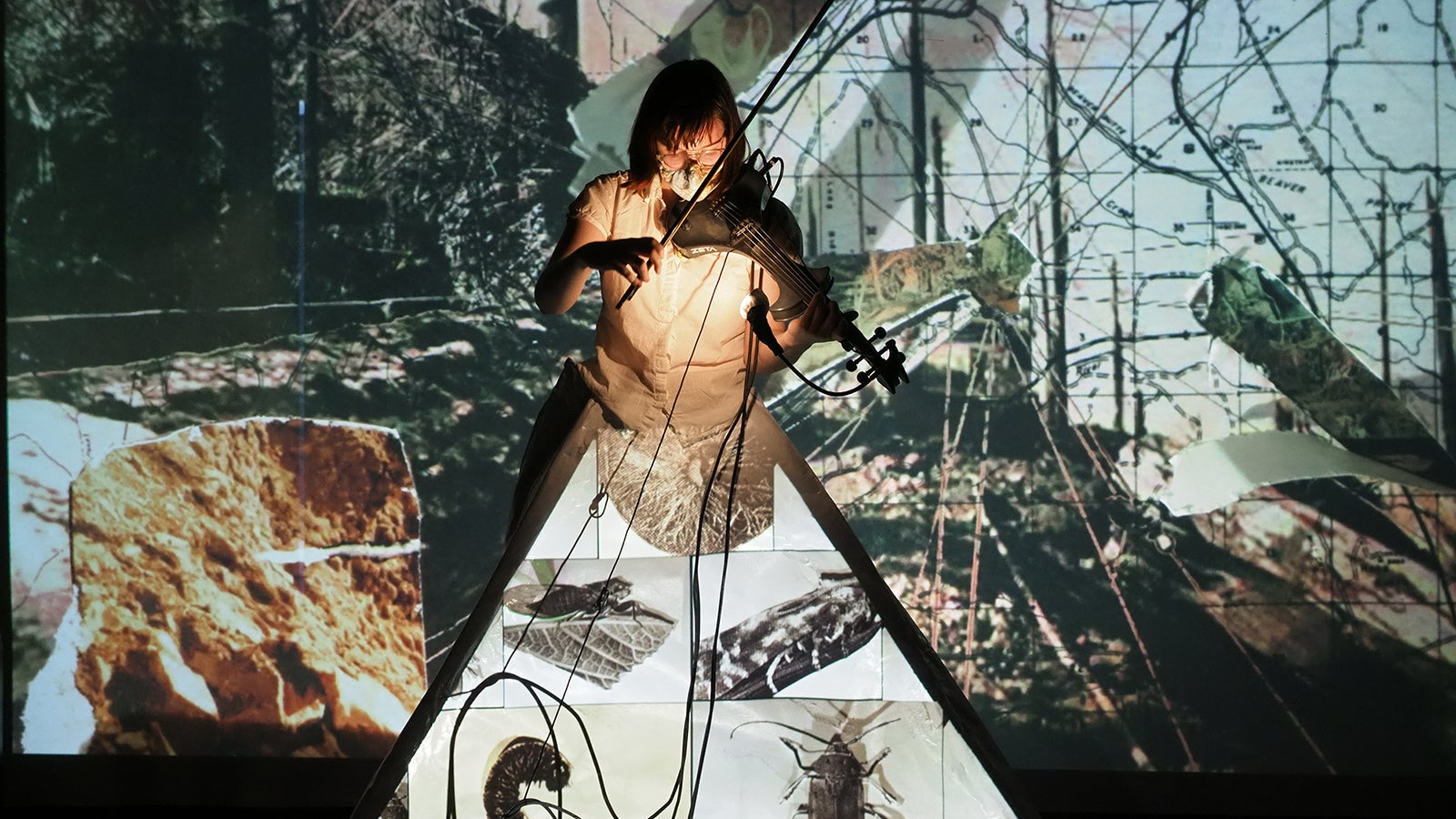 Student playing violin among projector images of insects
