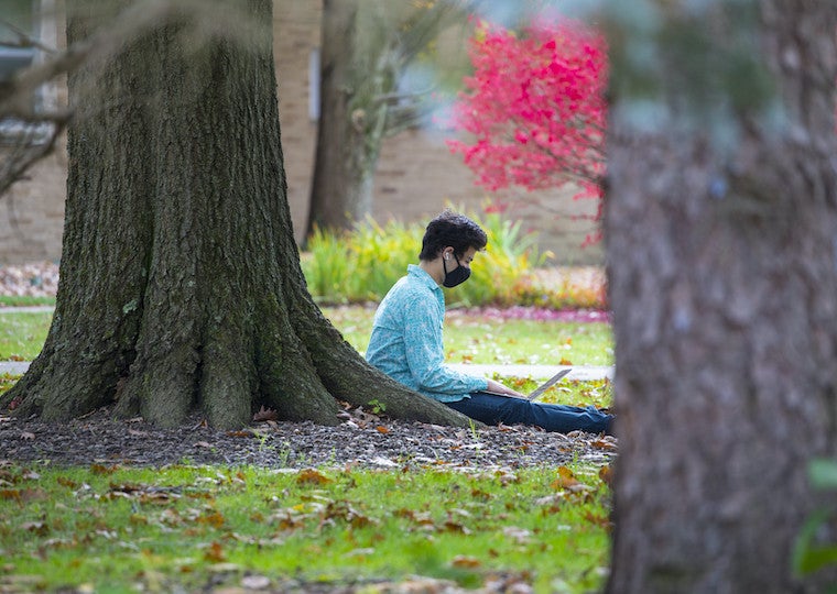 A student sits under a tree and types on a laptop.