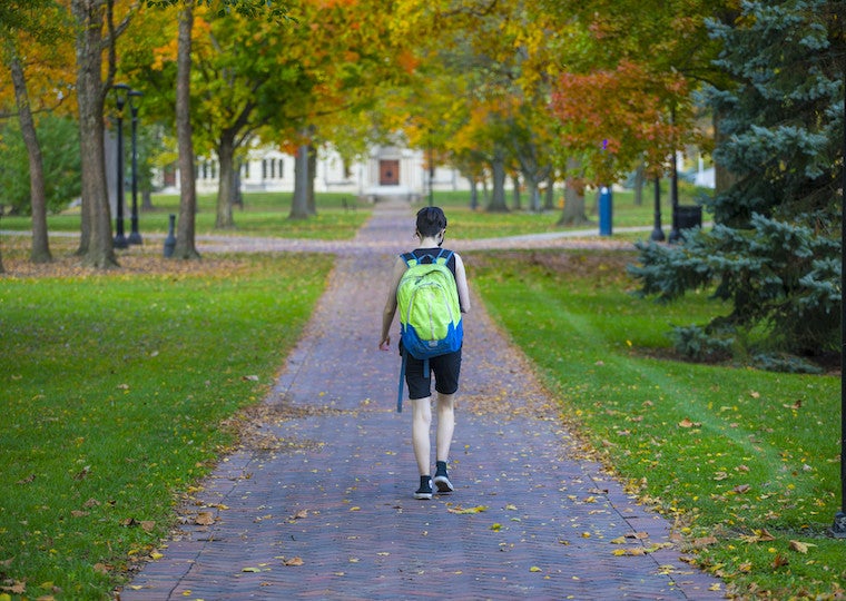 A student wearing a large backpack walks down a long cobblestone path.