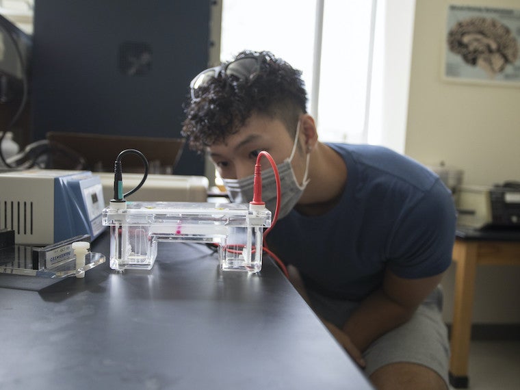 A student looks at liquid as it reacts to electricity in an apparatus 