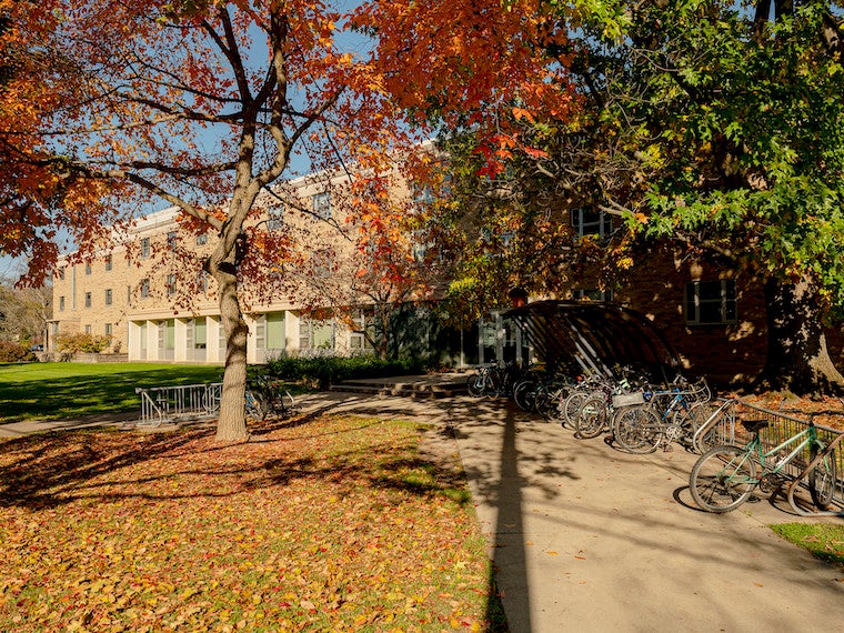A large building is shaded by tall fall leaves.