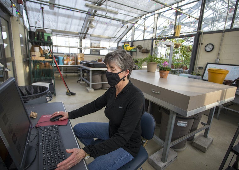 A woman works at a computer in a greenhouse.