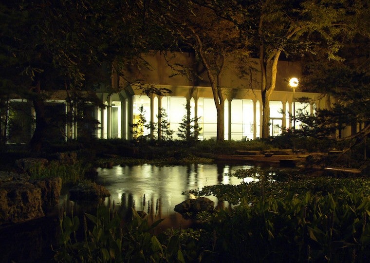 A koi pond at night.