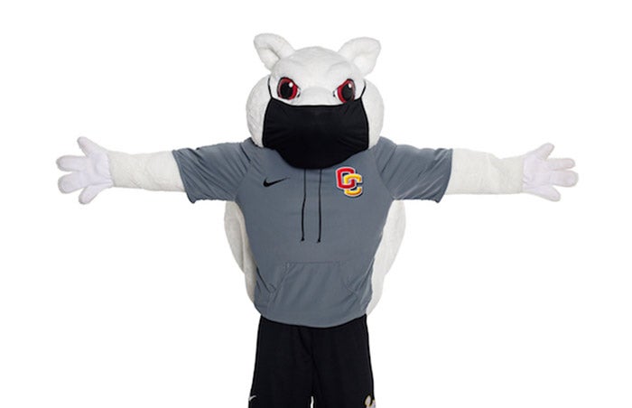 Oberlin's mascot squirrel extends his arms fully to either side.
