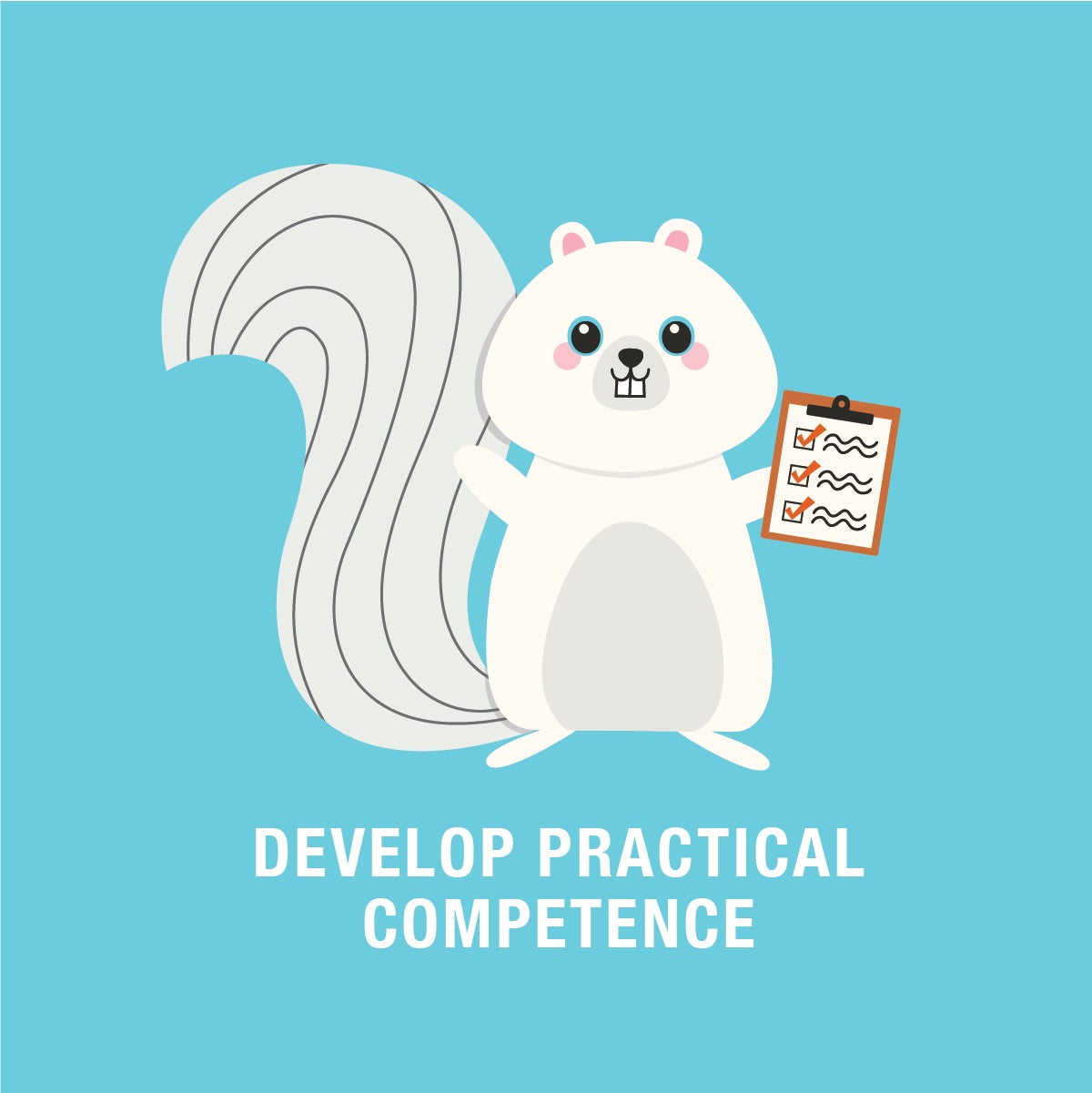 develop practical competence