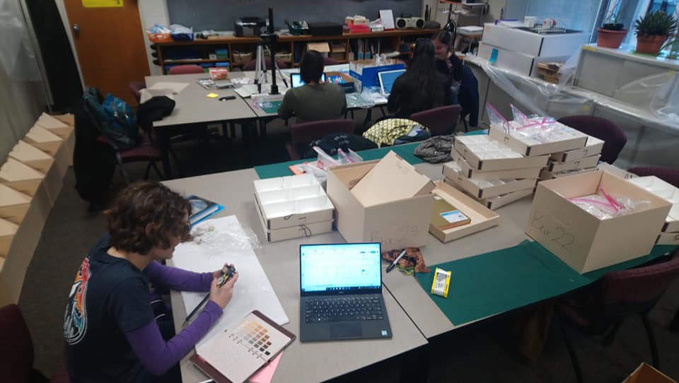 Julian Hirsch working at a desk