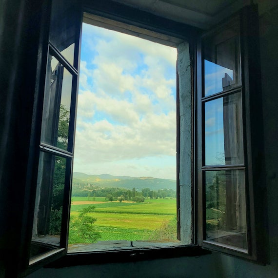 The view outside my window. 