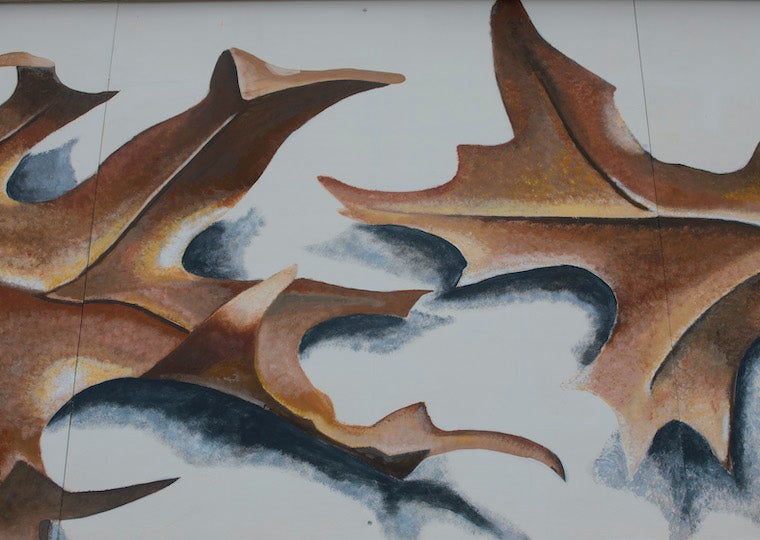 A mural of two large fall oak leaves.