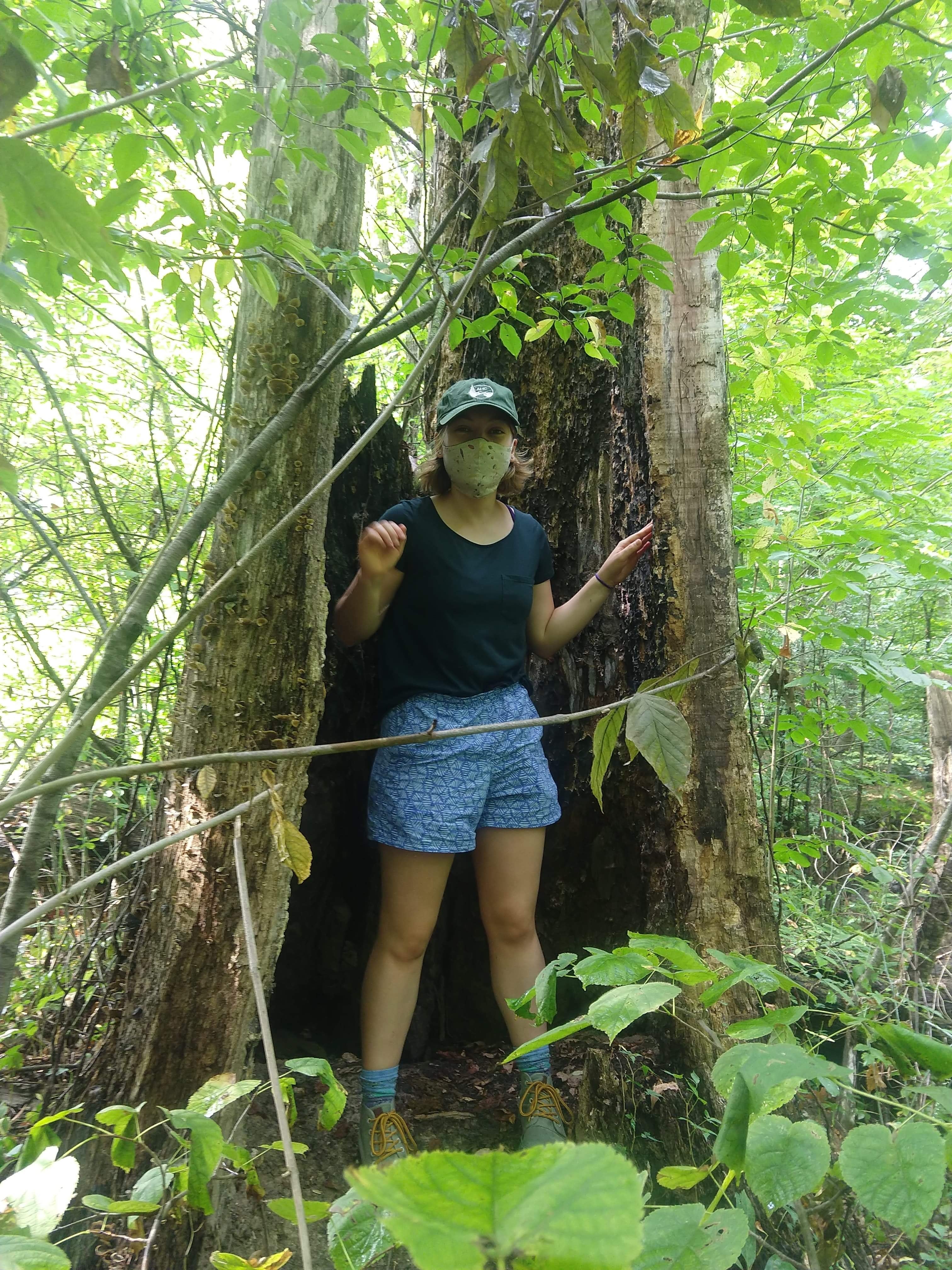 A masked Ruth inside a hollow tree in the Oberlin Arboretum 