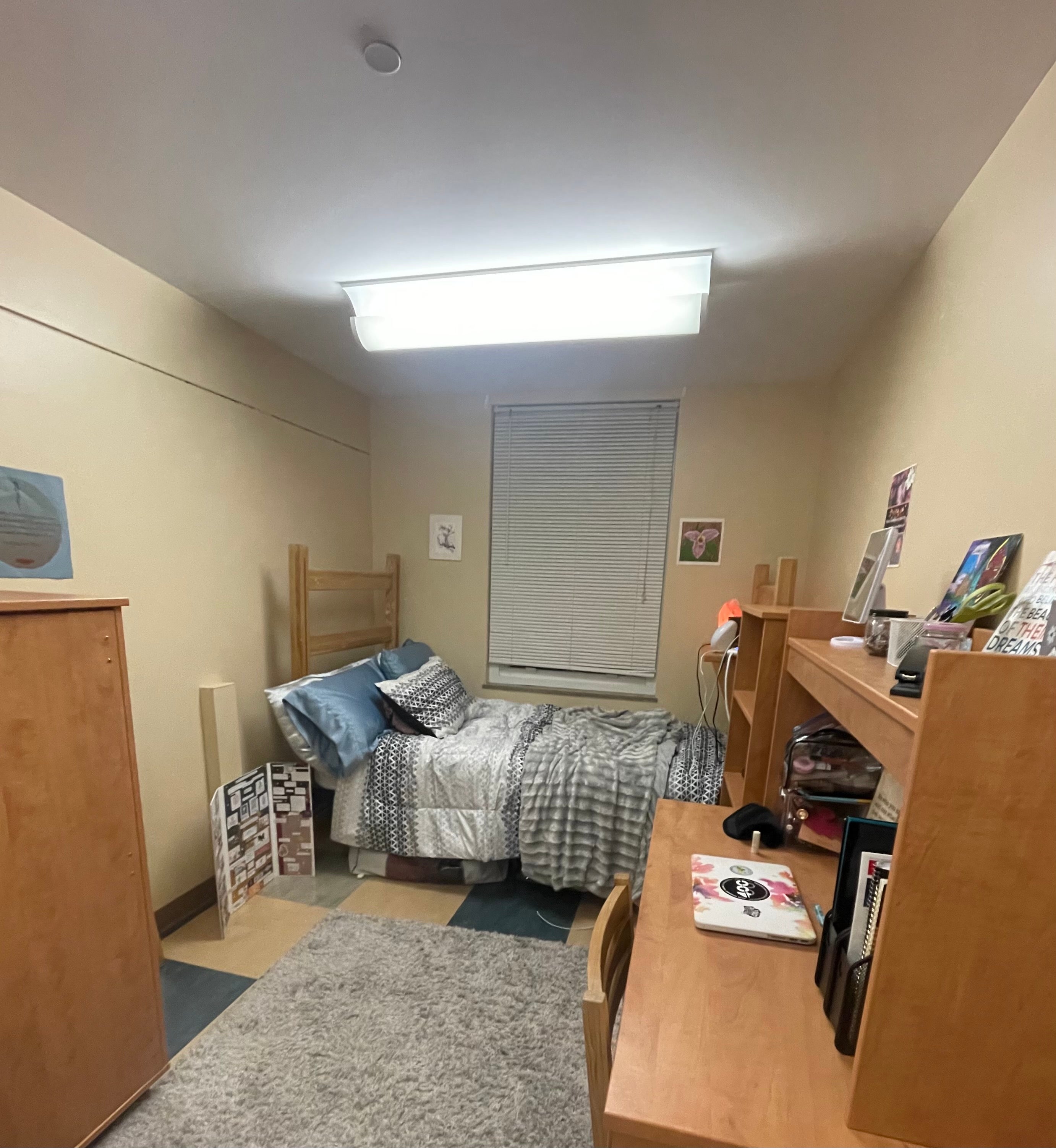 This picture shows one side of a decorated divided double. A desk displaying artwork leans against the right wall next to a bookshelf while a cabinet leans against the left wall. The bed, covered in layers of gray and white blankets, is pushed against the window at the far back of the room. Two floral art prints hang on the wall above the bed. A large gray rug stretches the length of the room.