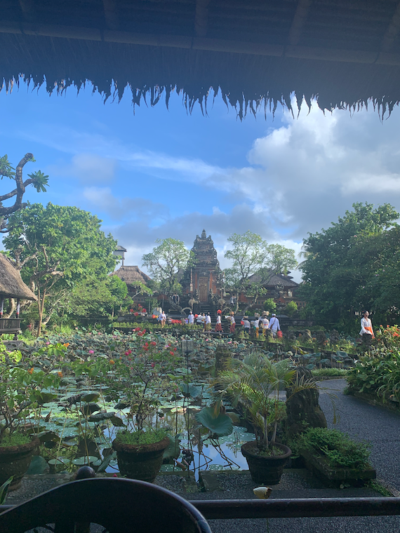 people with offerings walking into a temple with water lilies in the foreground