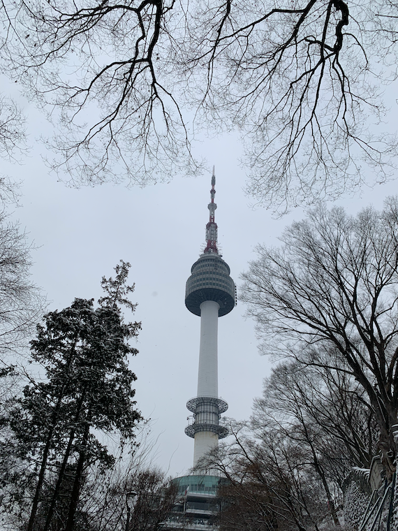 a tall needle-like building poking through trees