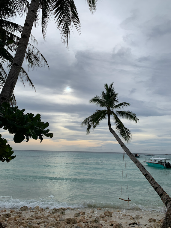 a palm tree with a swing in font of sand and the ocean